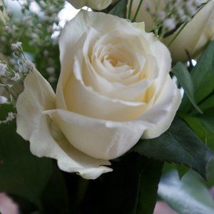 Meet your Posher, vtgcuriosity